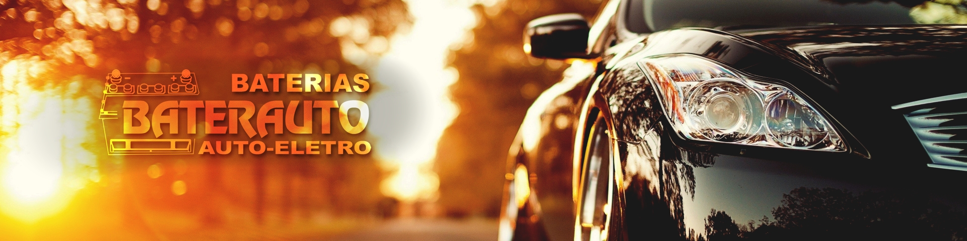 Banner 1